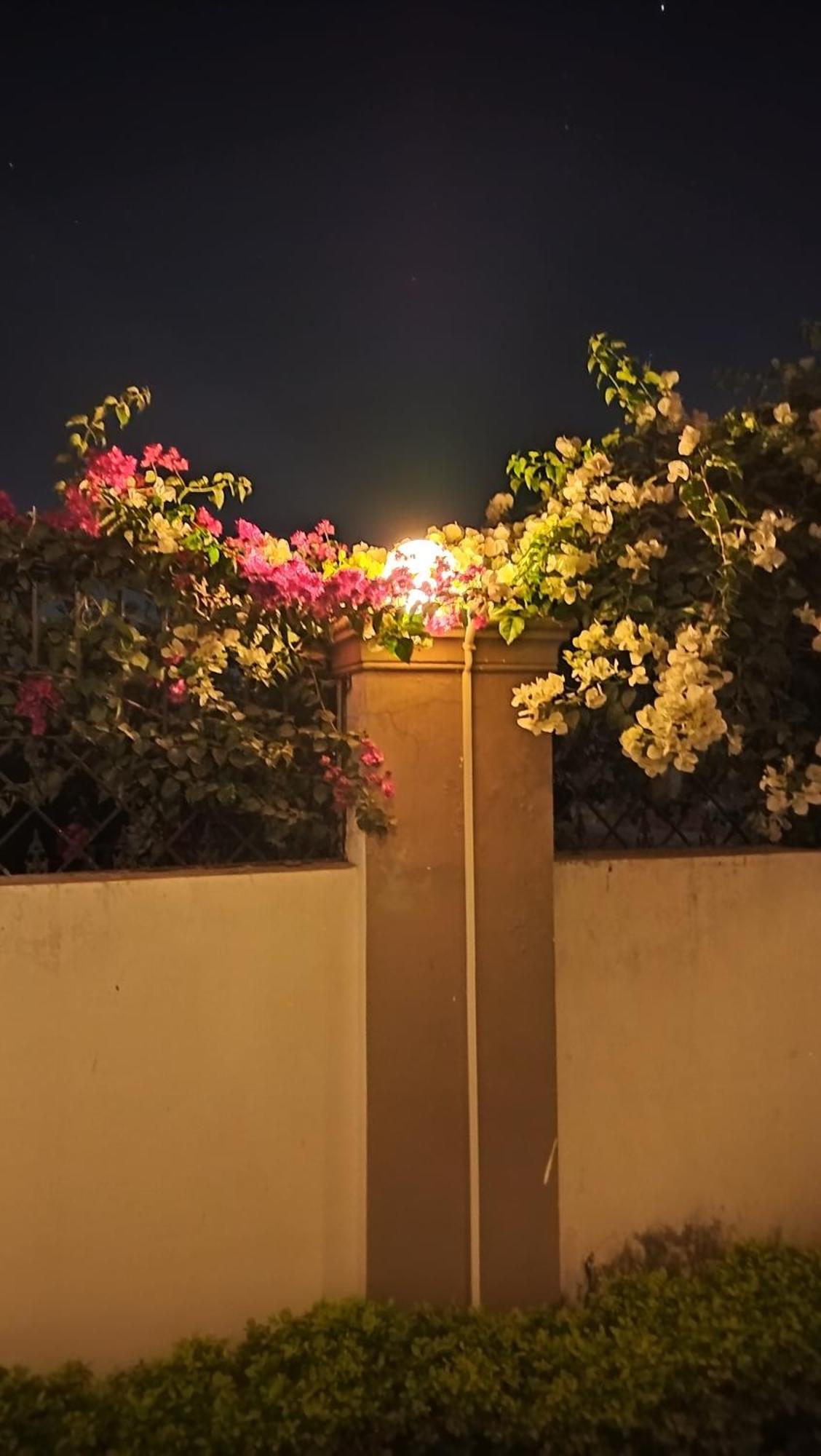 ורנאסי Shree Nanda Guest House מראה חיצוני תמונה